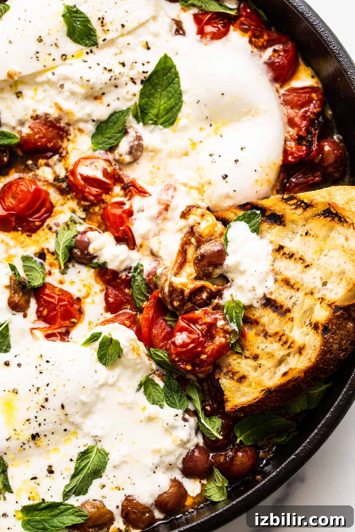 Creamy Burrata with Bursting Cherry Tomatoes Recipe 6 tomatoes and burrata with toasted bread.