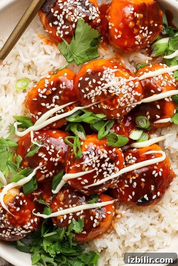 A dish of rice topped with saucy meatballs