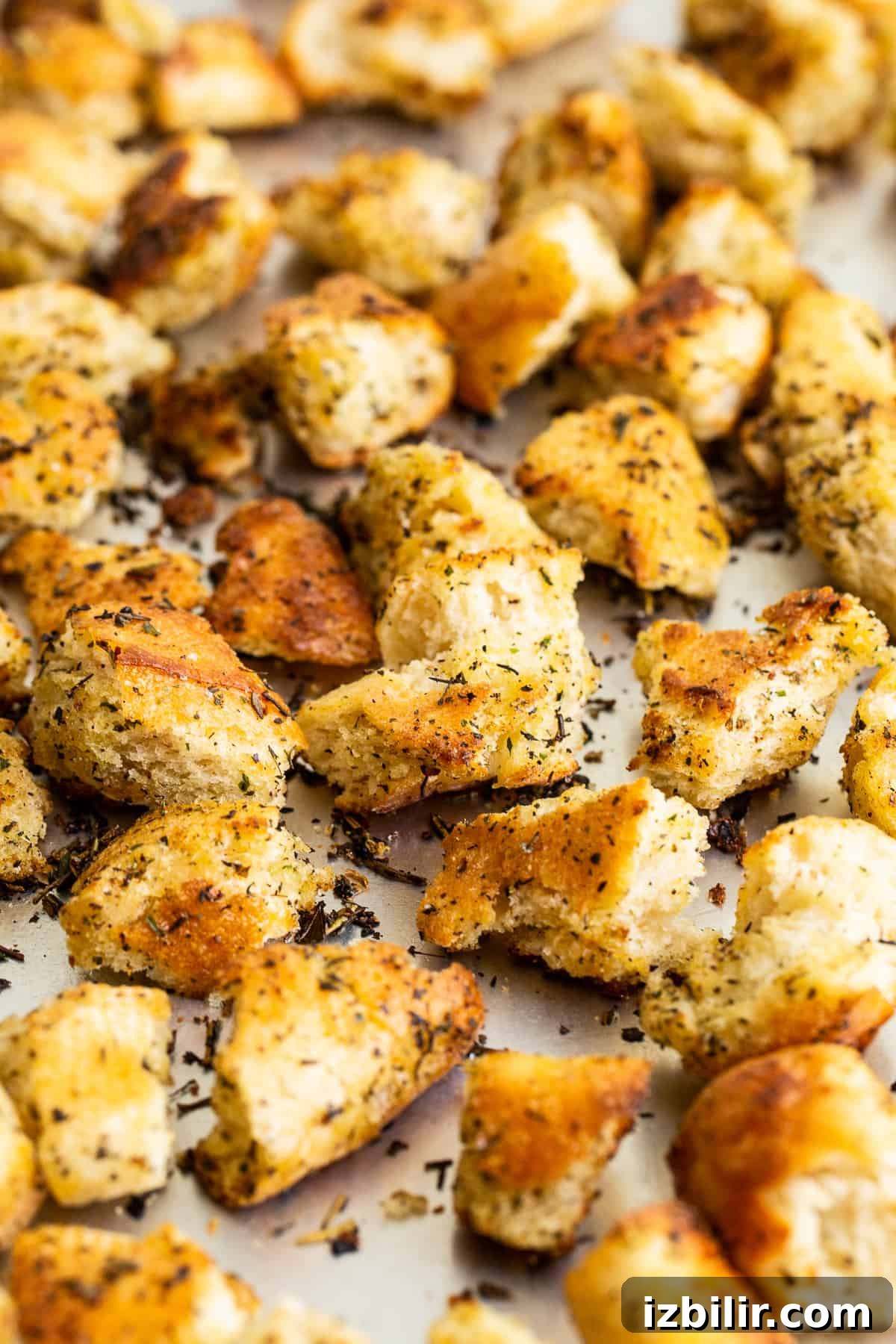 Croutons on baking sheet.