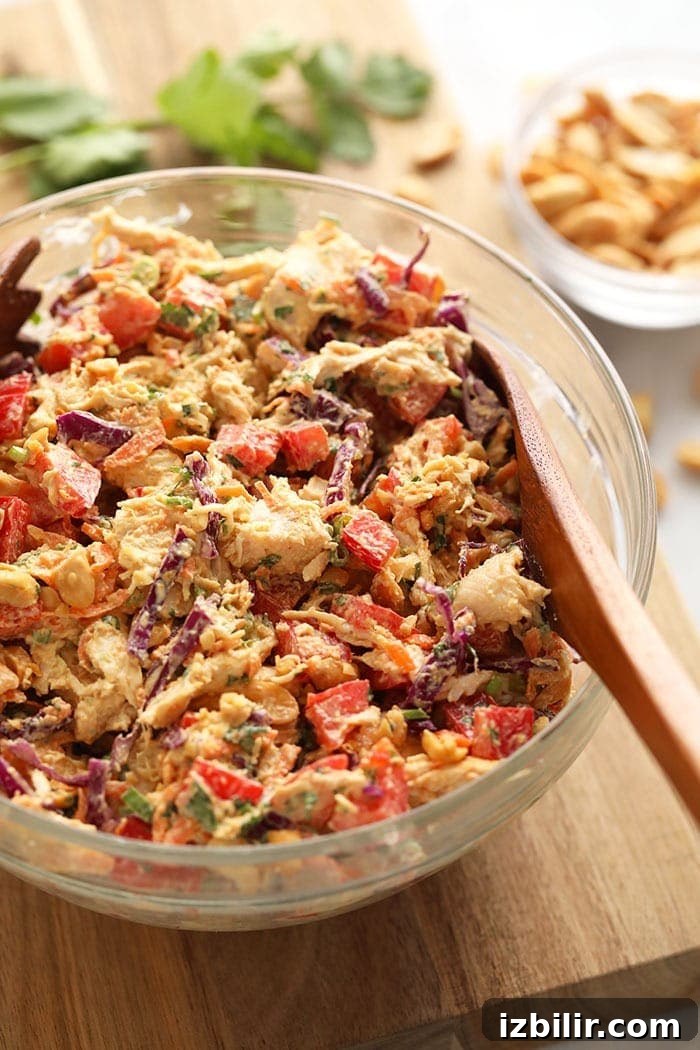 Thai Peanut Chicken Salad thai peanut chicken salad in a bowl