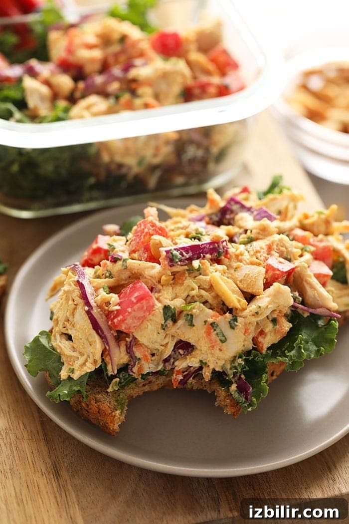 Thai Peanut Chicken Salad on toast thai peanut chicken salad open-faced sandwich