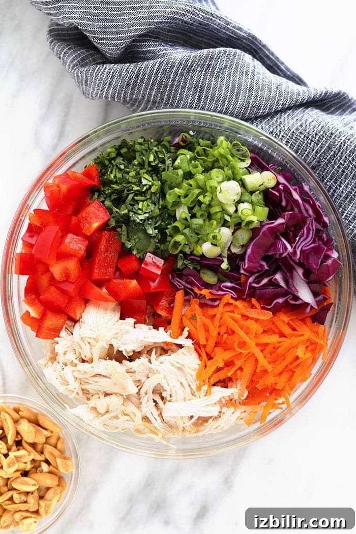 Thai Peanut Chicken Salad Ingredients thai peanut chicken salad ingredients in a bowl