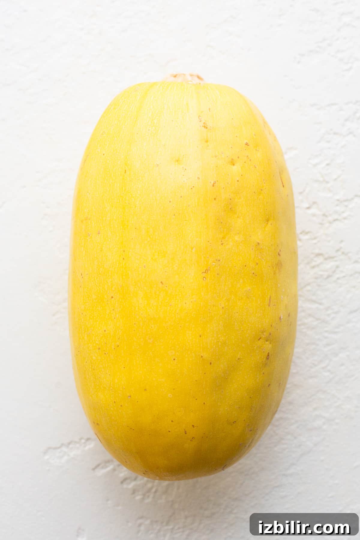 squash on countertop.