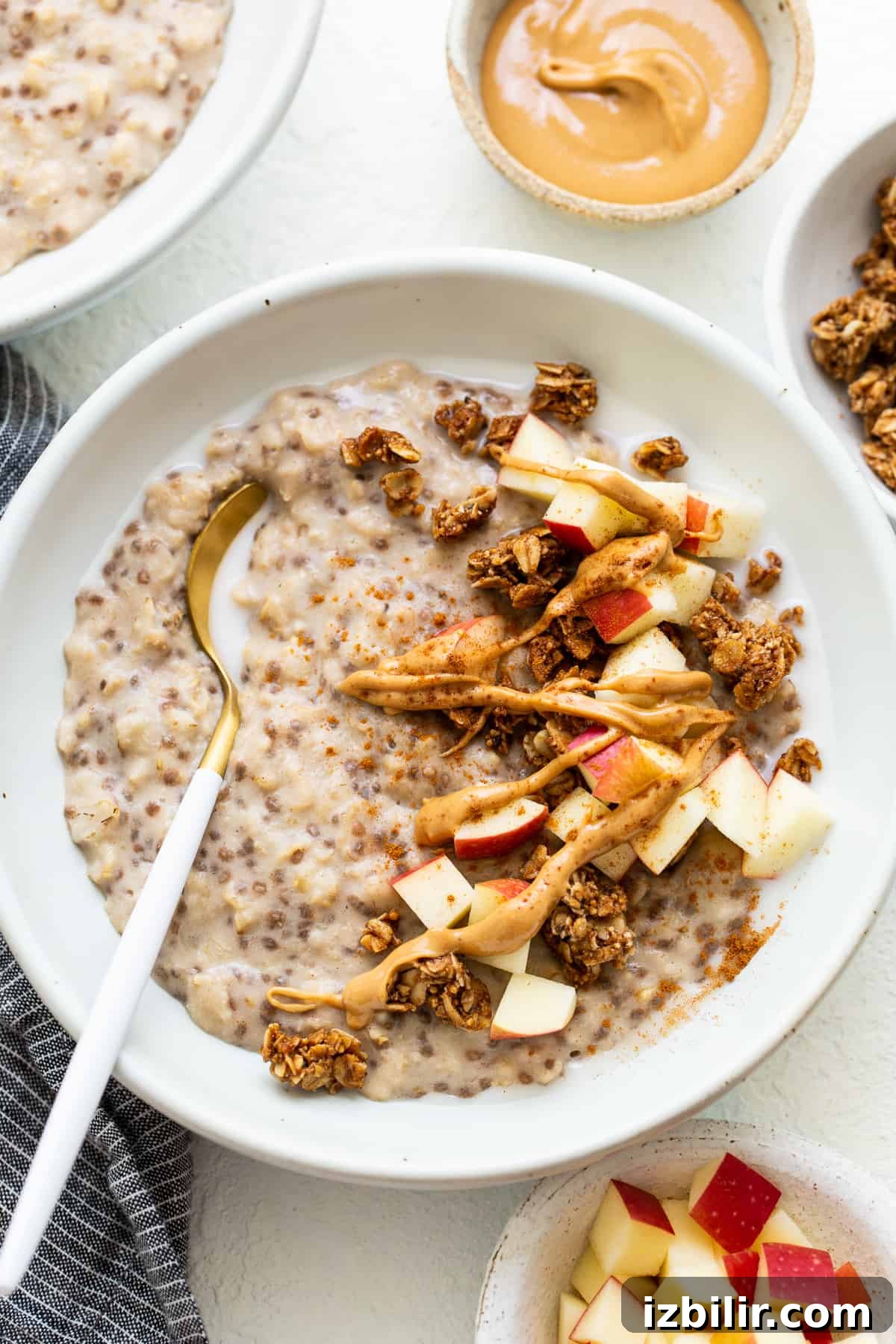 Apple cinnamon oatmeal in a bowl.