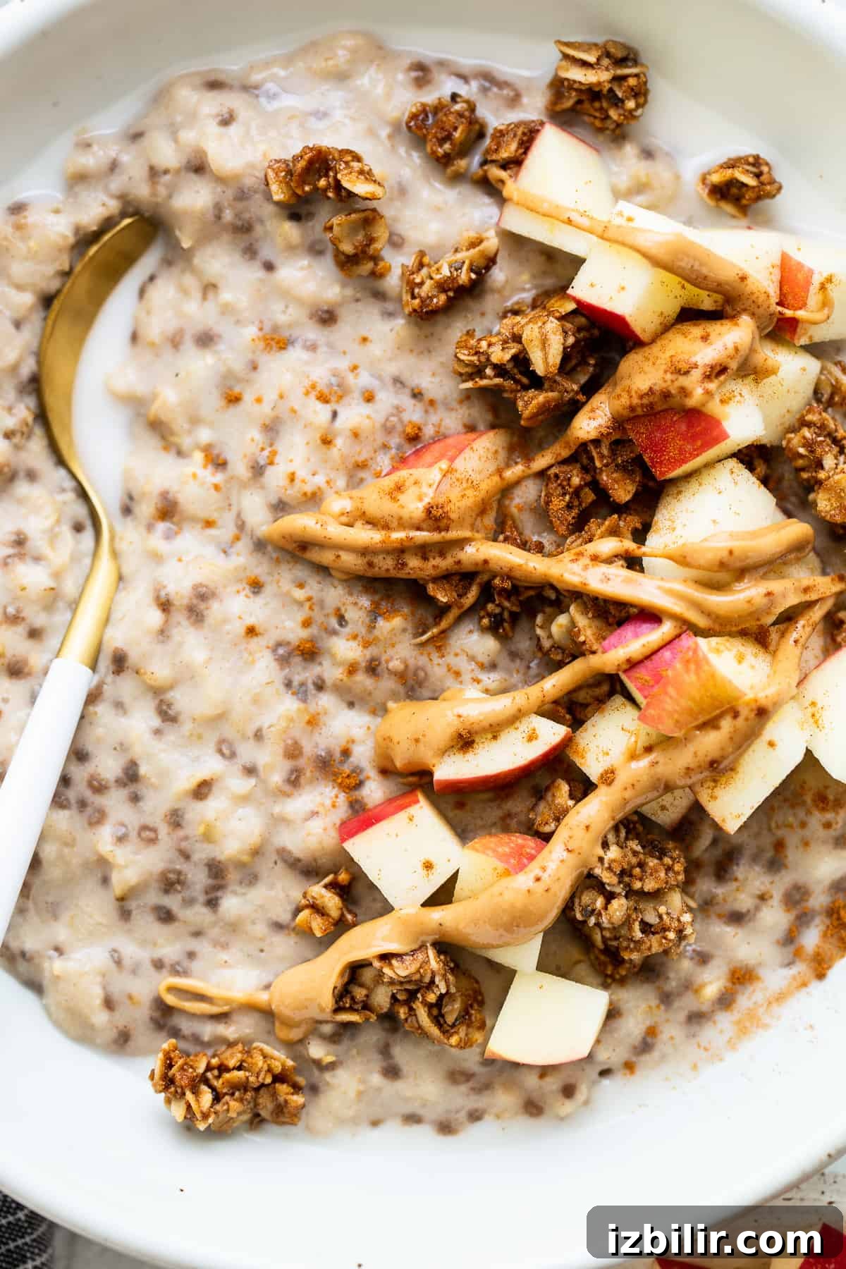 Apple cinnamon oatmeal topped with nut butter and sliced apples.
