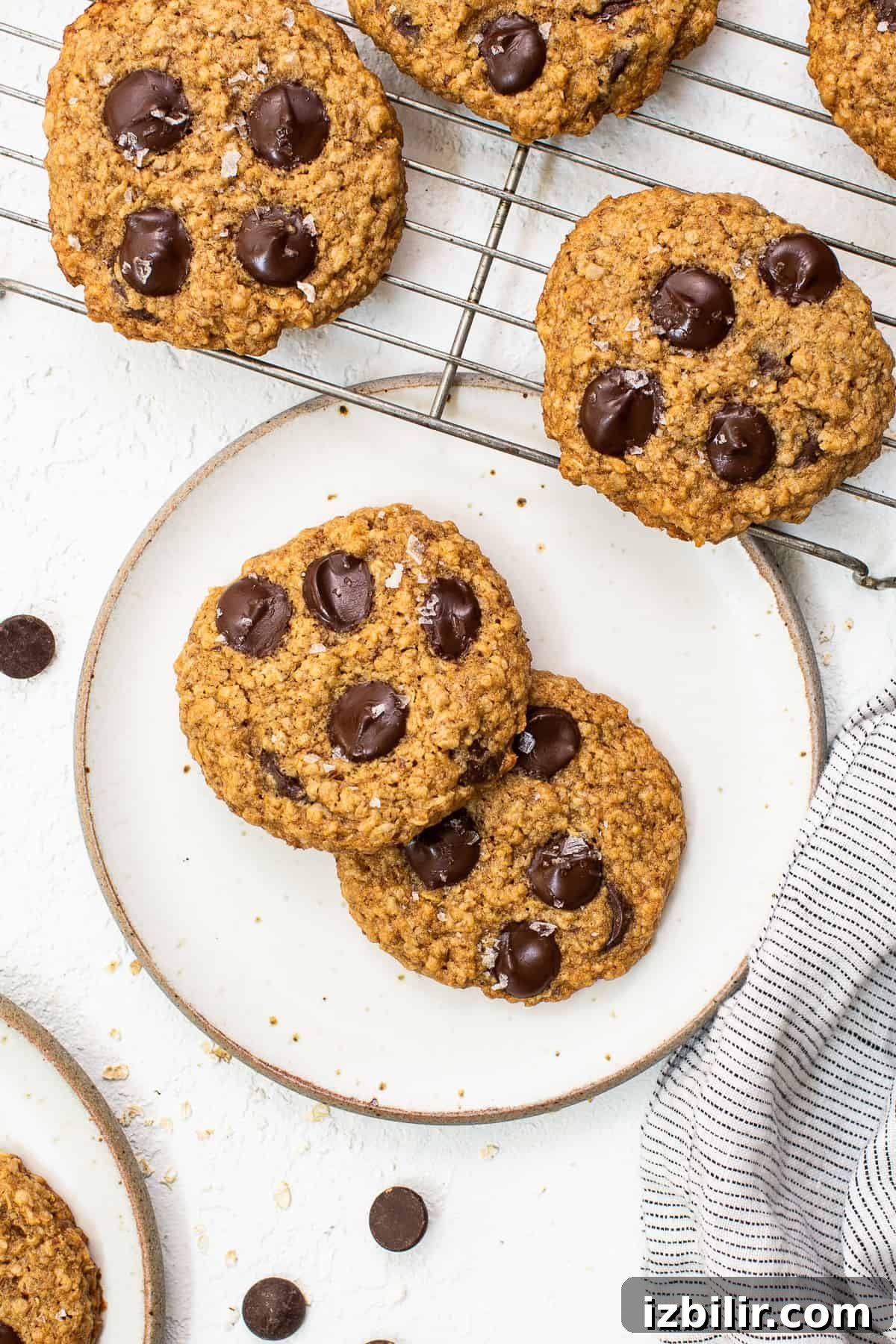 Delicious lactation cookies Lactation cookies on a plate.
