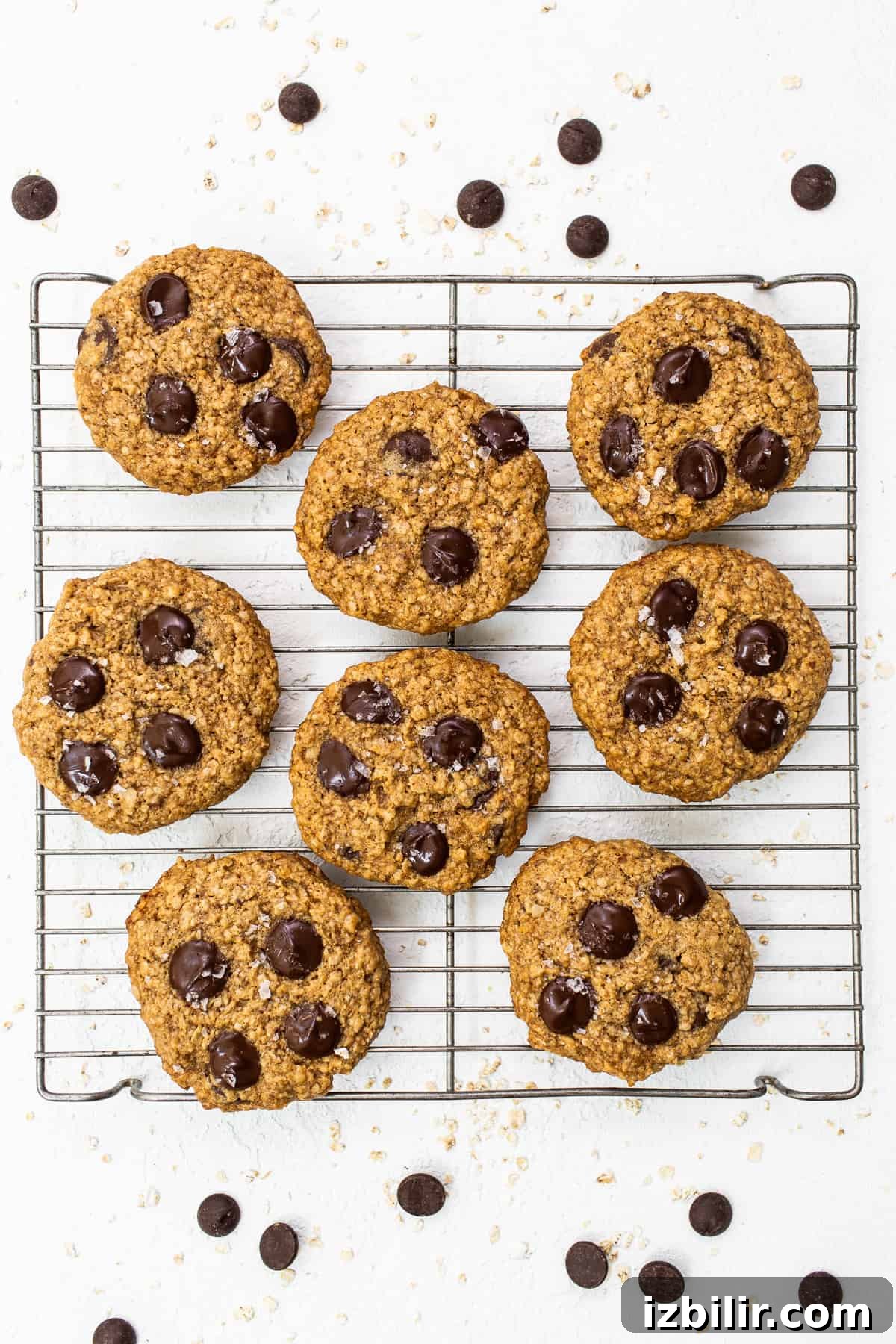 Cookies cooling Lactation cookies on a cooling rack.