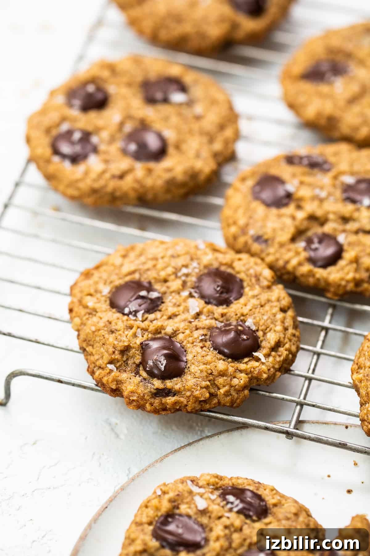 Baked lactation cookies Lactation cookies on a cooling rack.