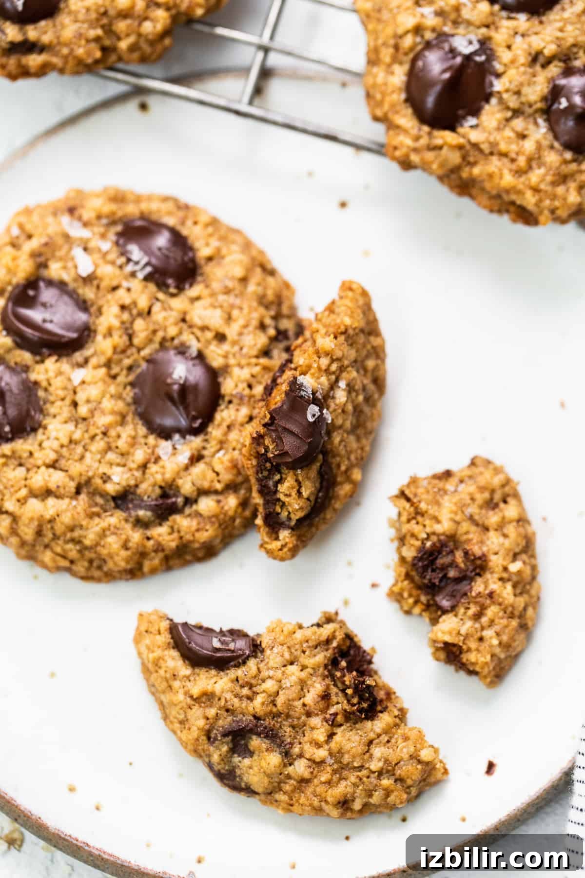 Lactation cookie with a bite Lactation cookie with a bite taken out of it.