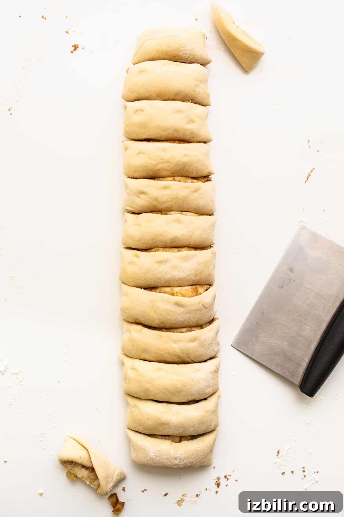 Apple cinnamon roll dough cut into rolls.