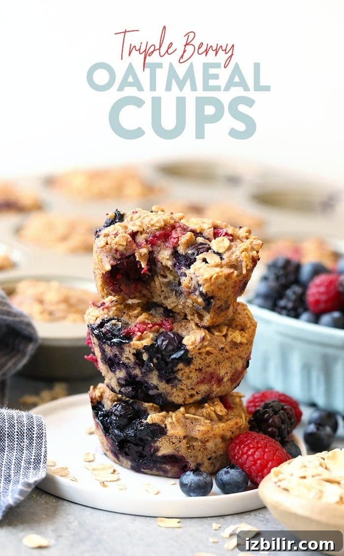 Triple berry oatmeal cups