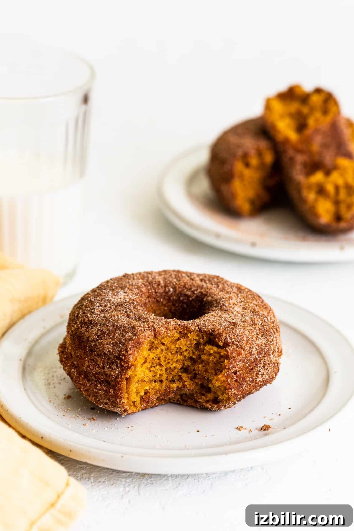 bite taken out of pumpkin donut on plate.