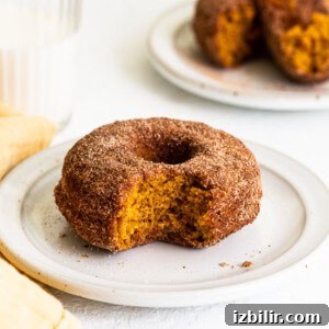 donut on plate.