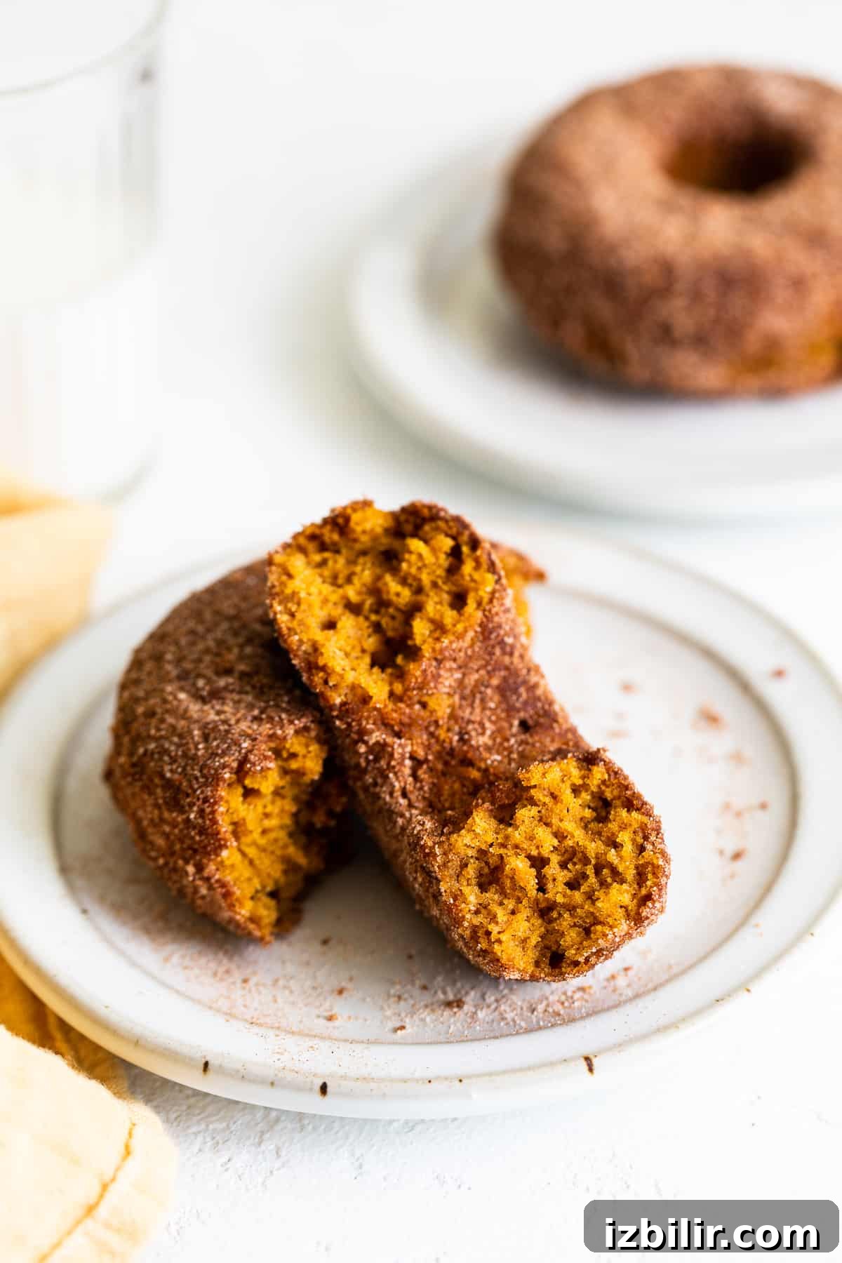 baked pumpkin donuts with cinnamon sugar on plate.