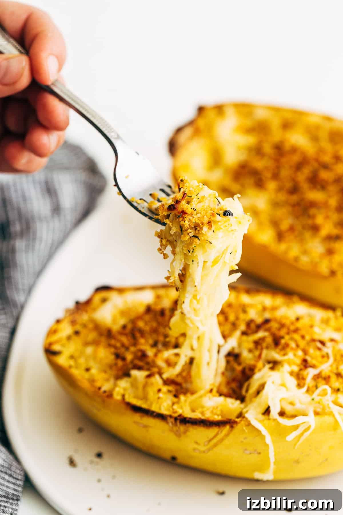 Serving of spaghetti squash mac and cheese Spaghetti squash mac and cheese on a fork.