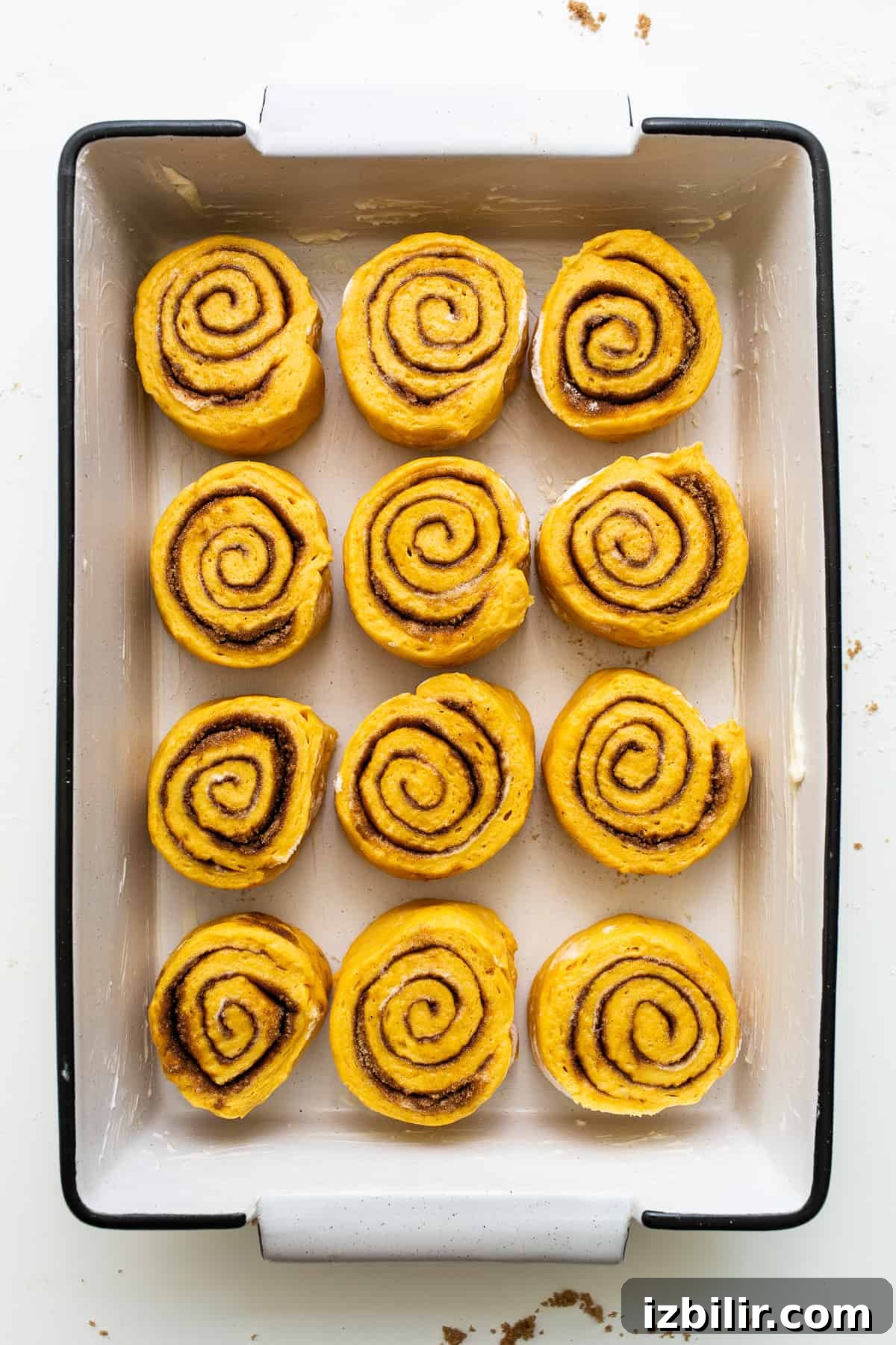 Fluffy Pumpkin Cinnamon Rolls with Cream Cheese Glaze 2 Pumpkin cinnamon rolls in a baking dish.