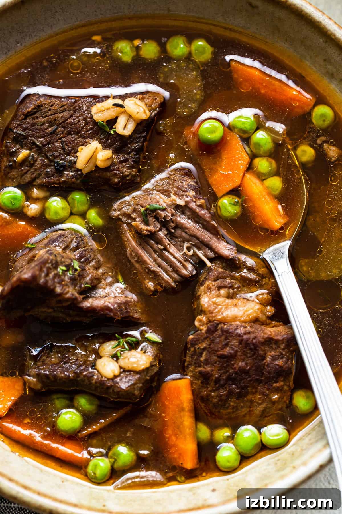 beef and barley soup.