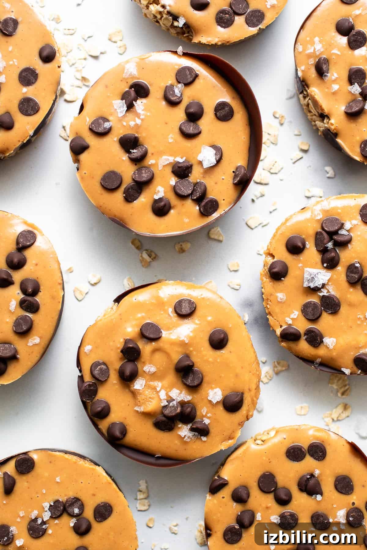 Peanut butter oat cups on counter Pb oat cups on counter.