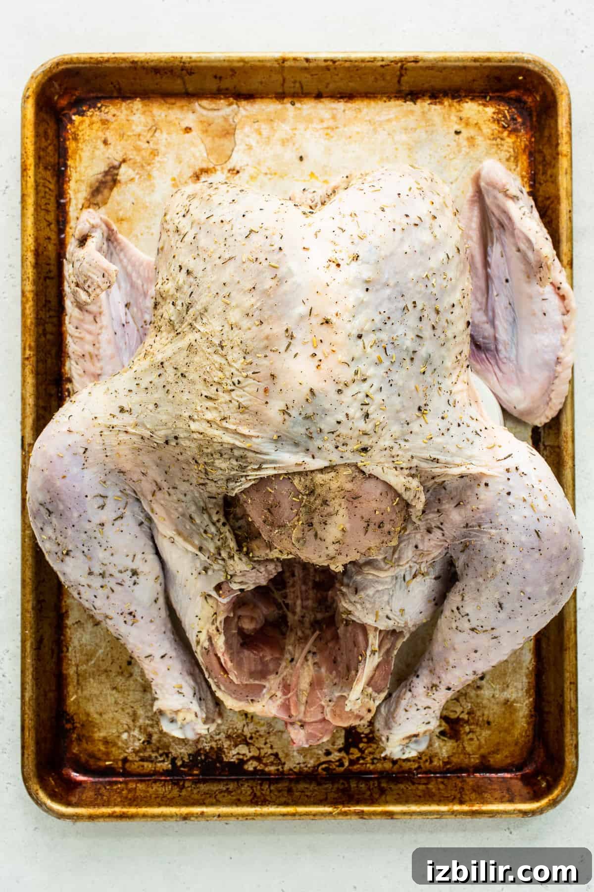 Learn how to dry brine a turkey with this simple tutorial. Dry brine turkey comes out so moist and juicy all thanks to the salting and resting process of a dry brine. uncooked turkey on baking sheet.