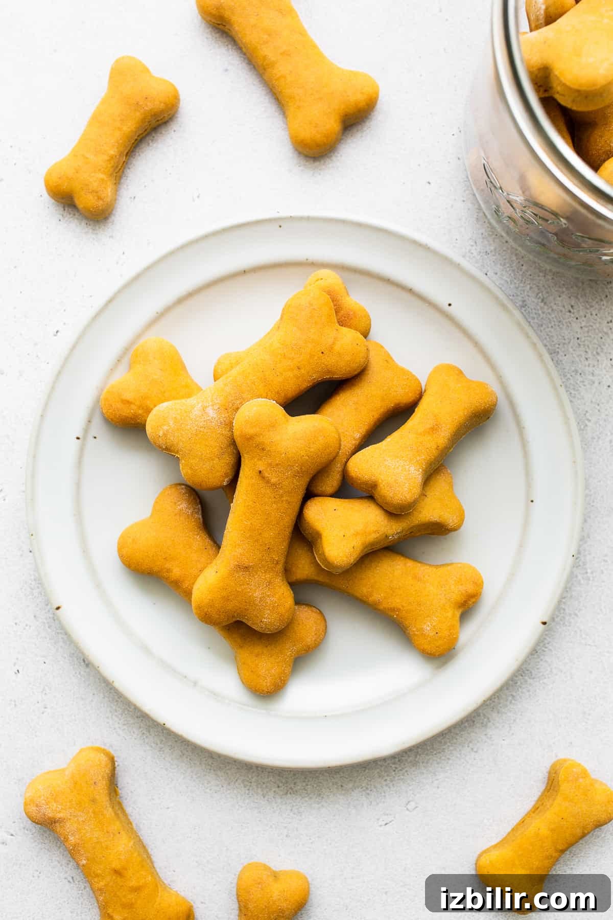 Homemade dog treats Homemade dog treats on a plate.