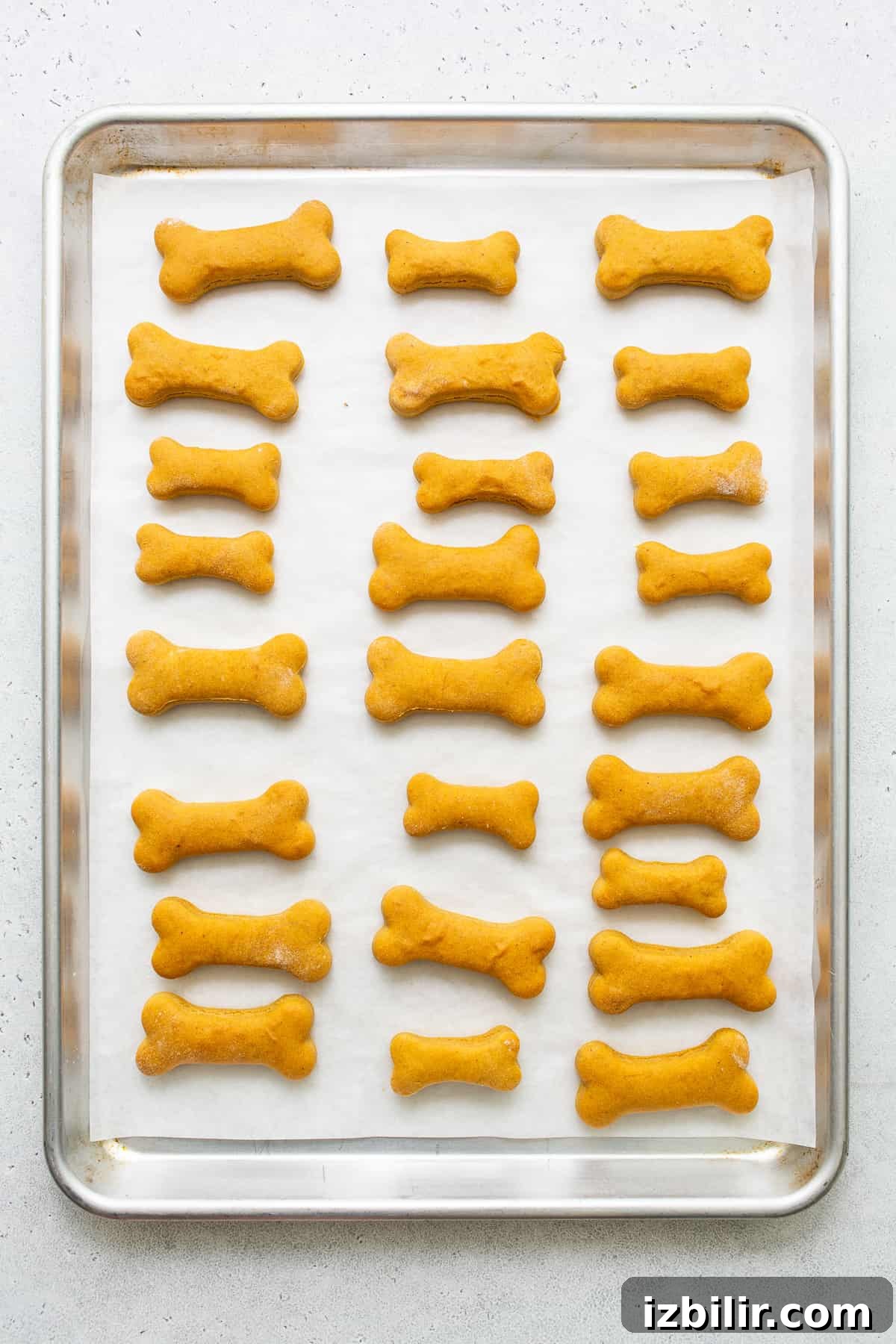 Dog treats on baking sheet Homemade dog treats on a cookie sheet.