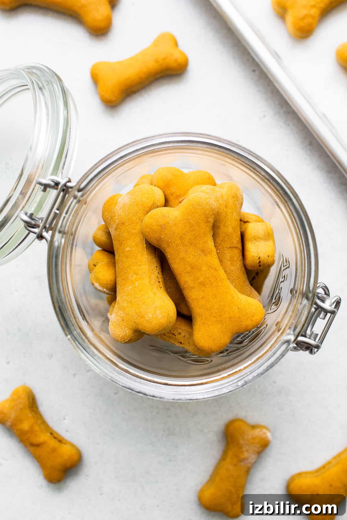 Dog treats in a jar Homemade dog treats in a jar.