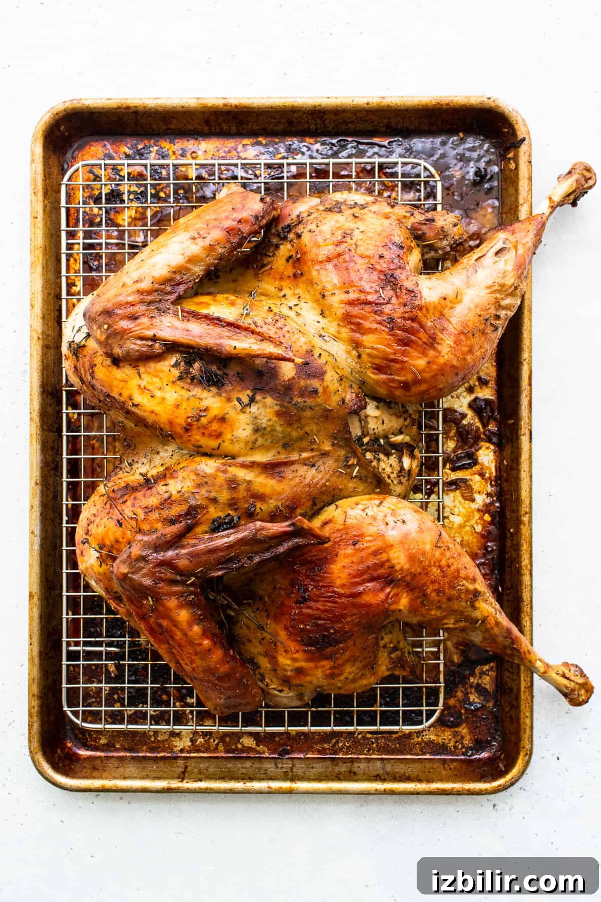 Dry brine turkey on rack.