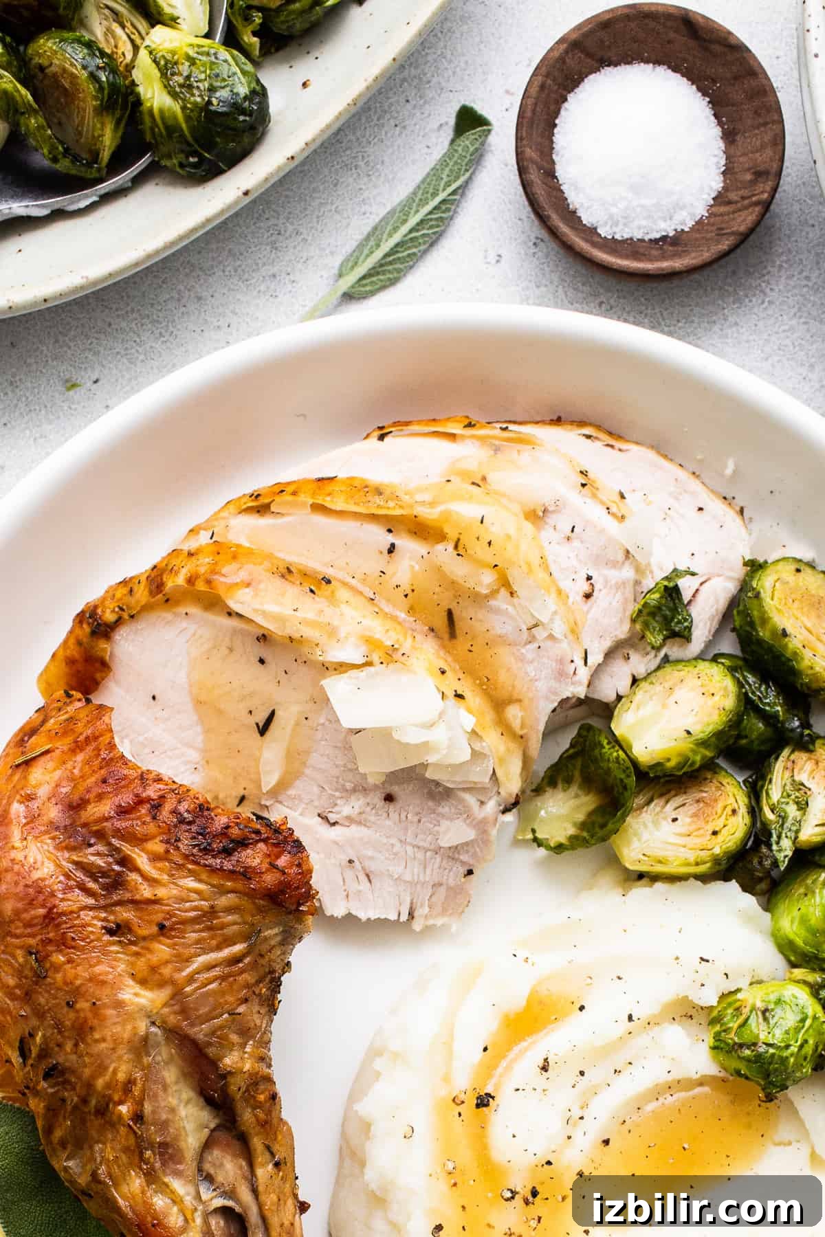 Sliced turkey and mashed potatoes on a plate.