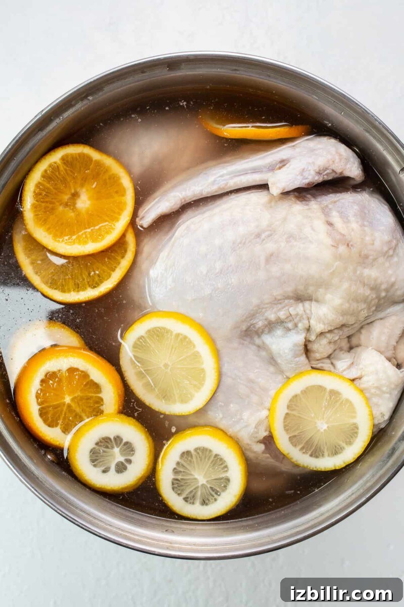 How to Brine a Turkey for Juicy, Flavorful Results 2 Turkey in a brine.