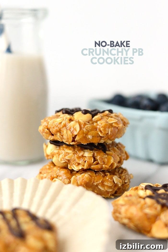 No-Bake Peanut Butter Cookies 2 peanut butter no bakes