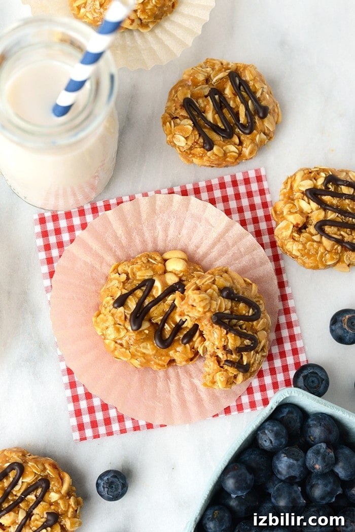 No-Bake Peanut Butter Cookies 3 healthy no bake peanut butter cookies