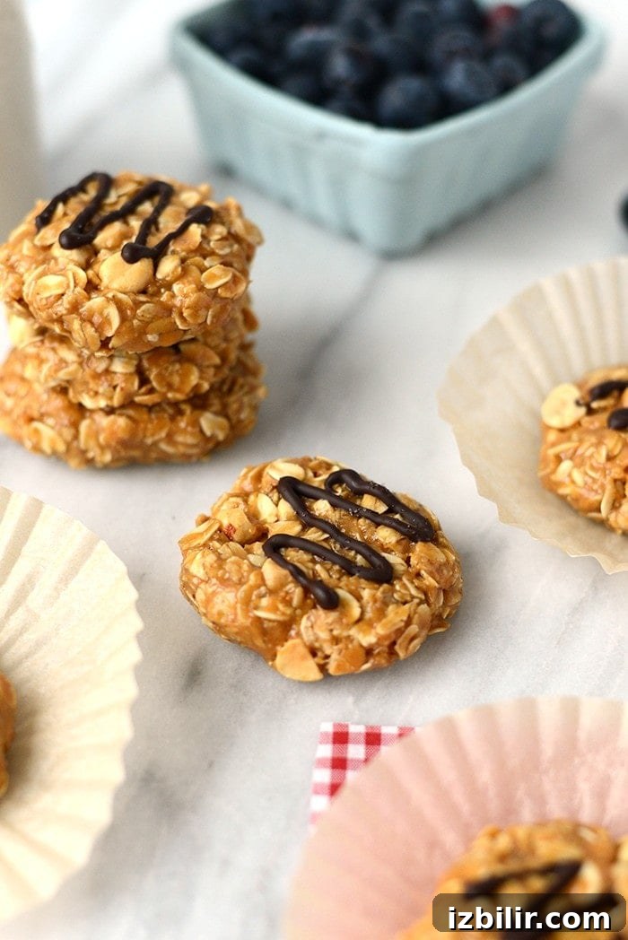 No-Bake Peanut Butter Cookies 5 These Healthy No-Bake Peanut Butter Cookies are made with 100% whole grains, peanut butter, crunchy peanuts, and no refined sugars for a healthier homemade variation!