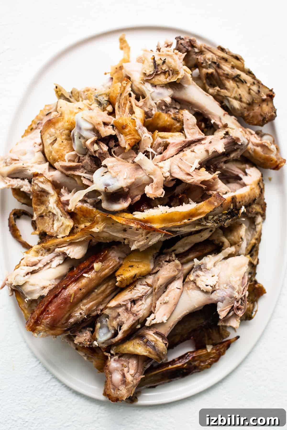 Rich Homemade Turkey Stock for Soups and Gravies 3 A turkey carcass on a plate.