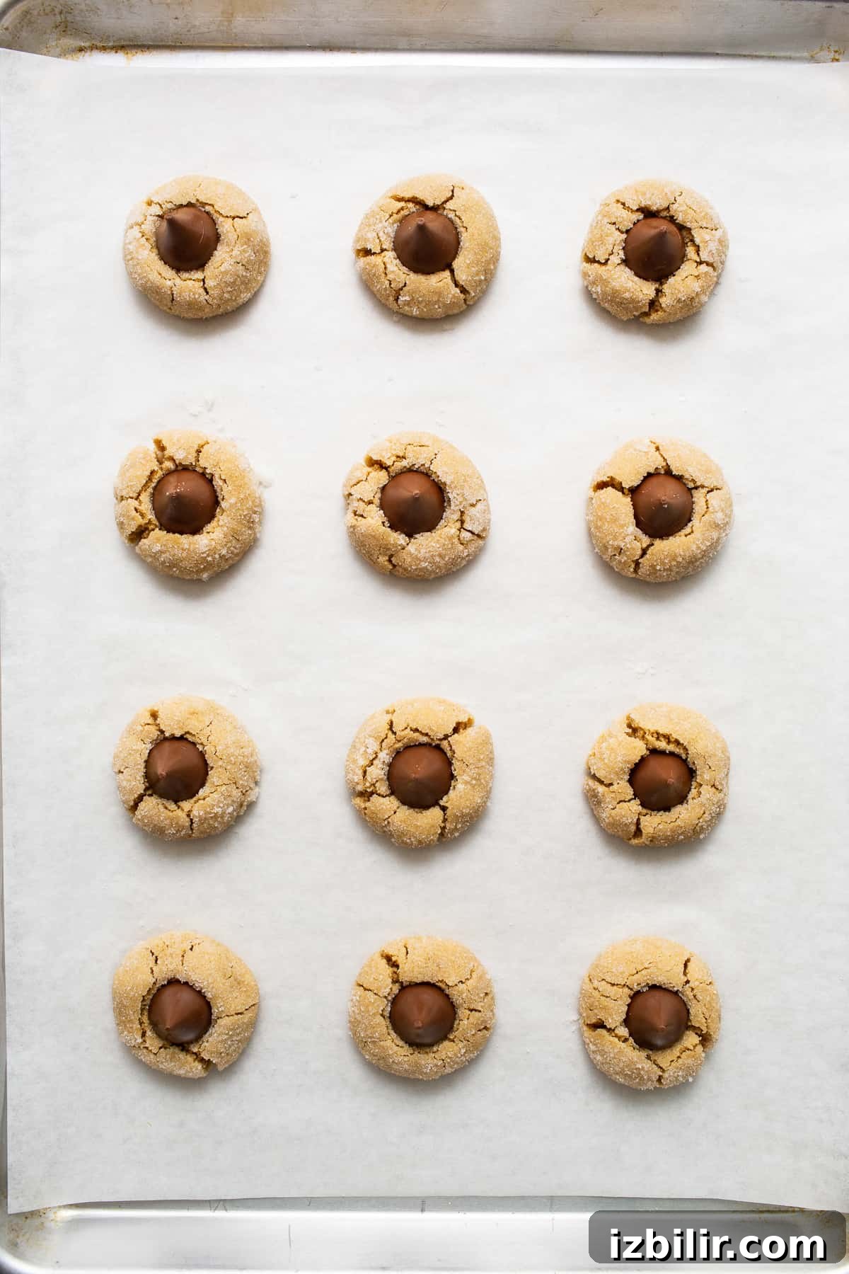 Peanut butter kiss cookies on a baking sheet. Peanut butter kiss cookies on a baking sheet.