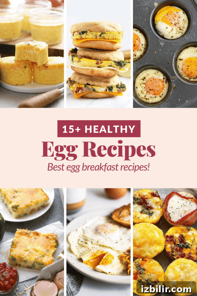 15+ Egg Breakfast Recipes to Elevate Your Morning 2 Assorted egg dishes
