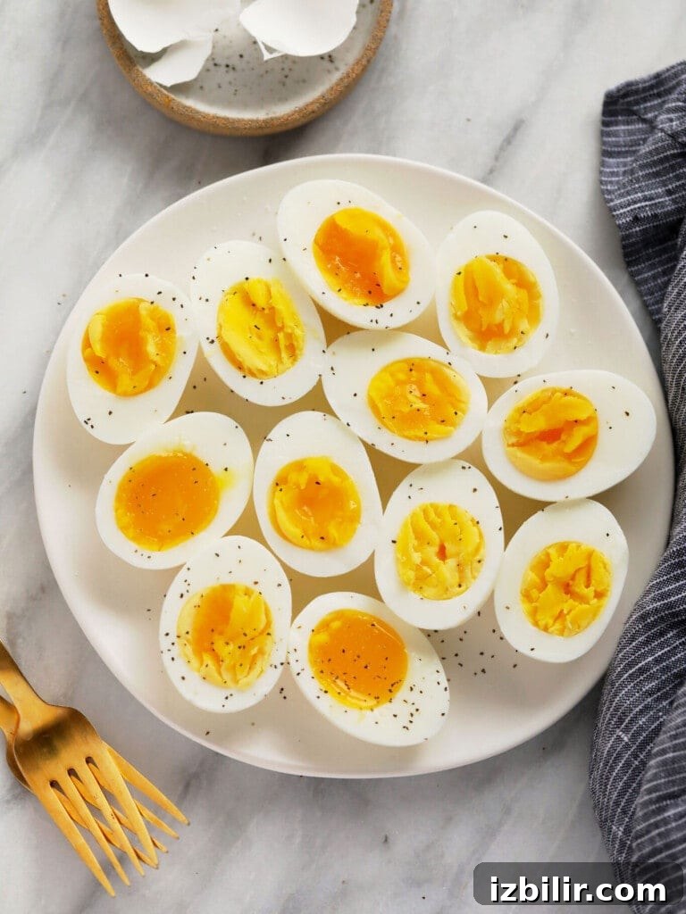 15+ Egg Breakfast Recipes to Elevate Your Morning 8 hard boiled eggs