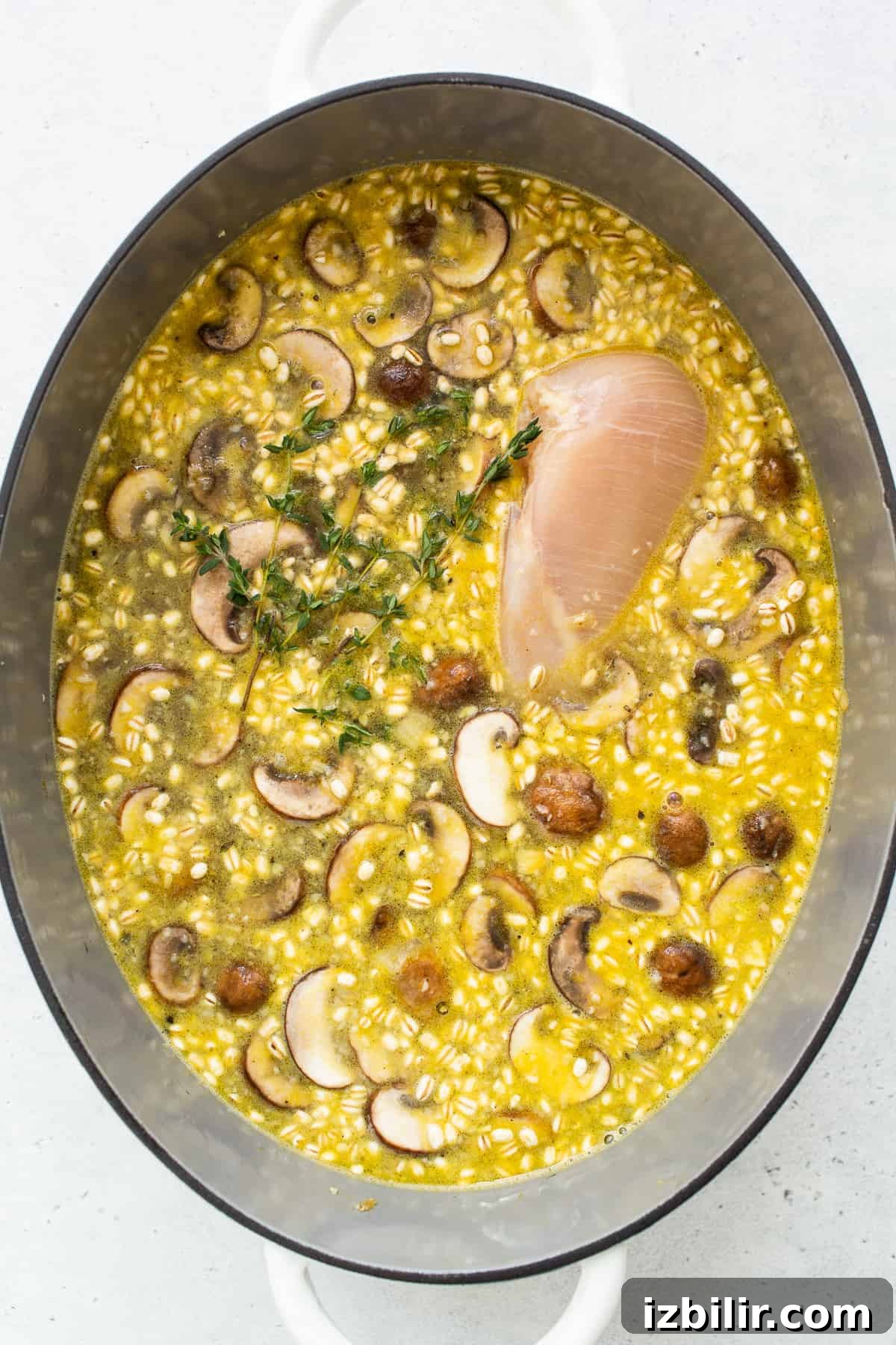 Comforting Homemade Chicken Soup Recipe 4 Raw chicken and other ingredients in the Dutch oven.