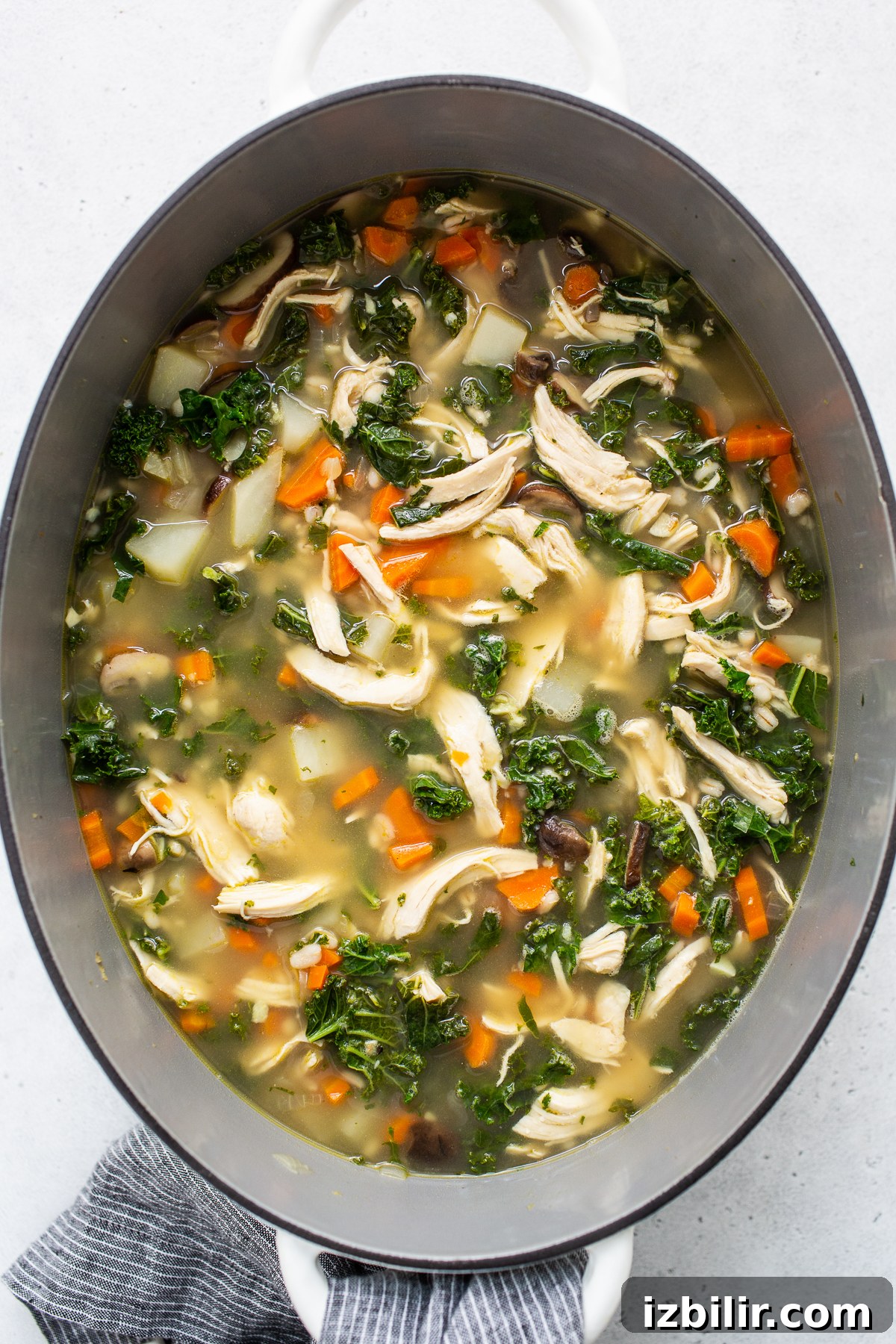 Comforting Homemade Chicken Soup Recipe 5 Chicken soup with shredded chicken and kale added in.