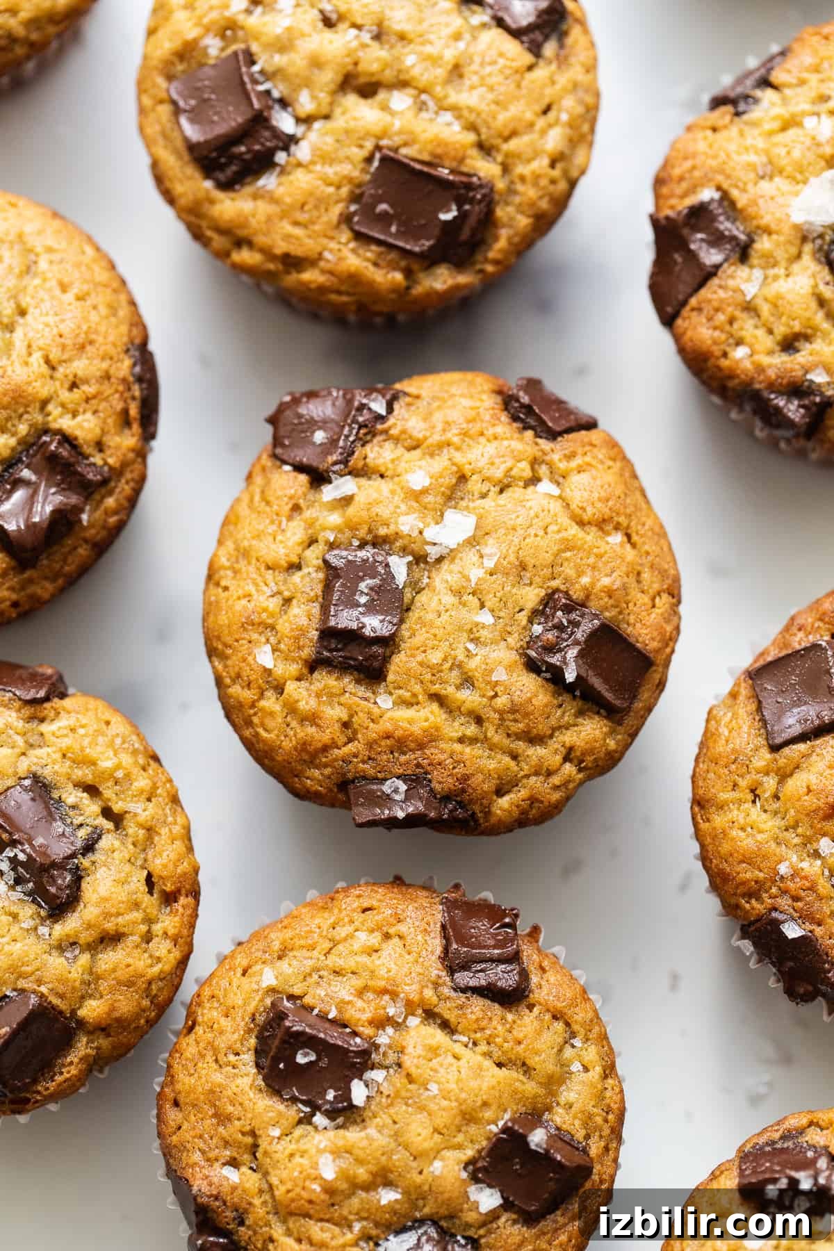 Served protein muffins