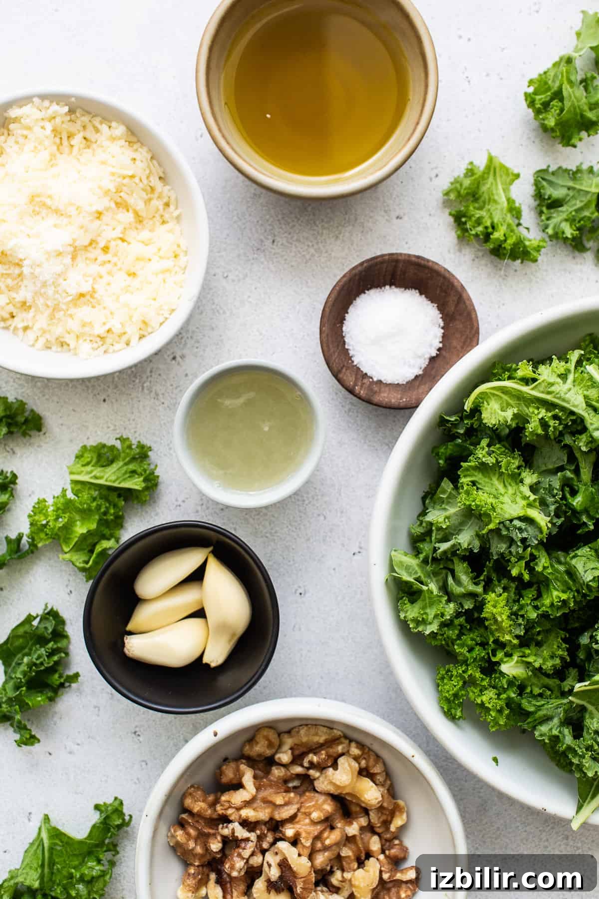 Make this easy kale pesto recipe with fresh kale, walnuts, olive oil, lemon juice, and parmesan cheese. It's the perfect complement to pasta dishes, as a dip or a marinade. Ingredients for kale pesto.