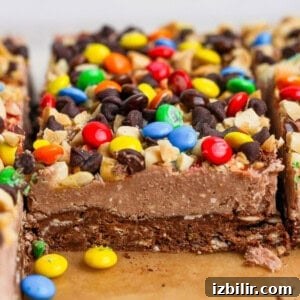 Dessert bars topped with colorful candy-coated chocolates.