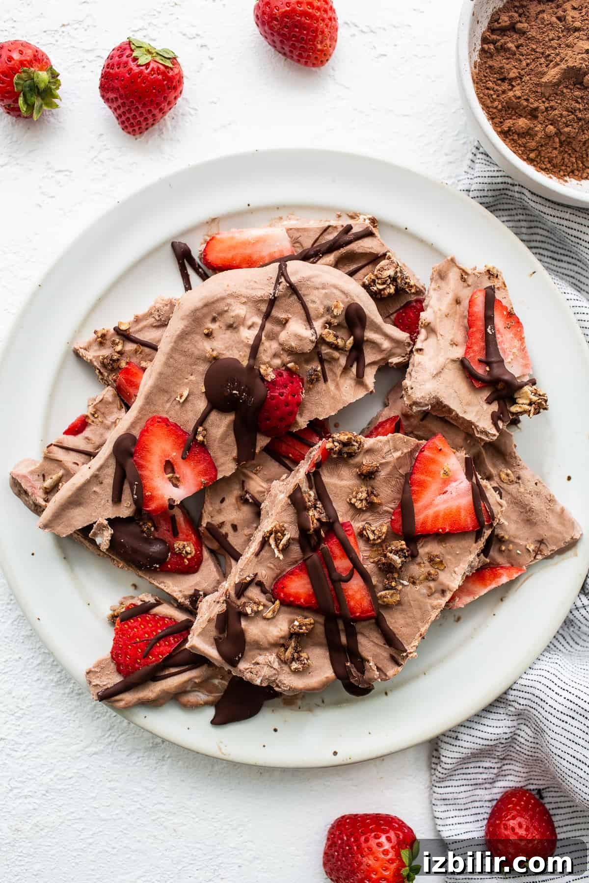 Chocolate Strawberry Frozen Yogurt Bark Frozen yogurt bark on a plate.