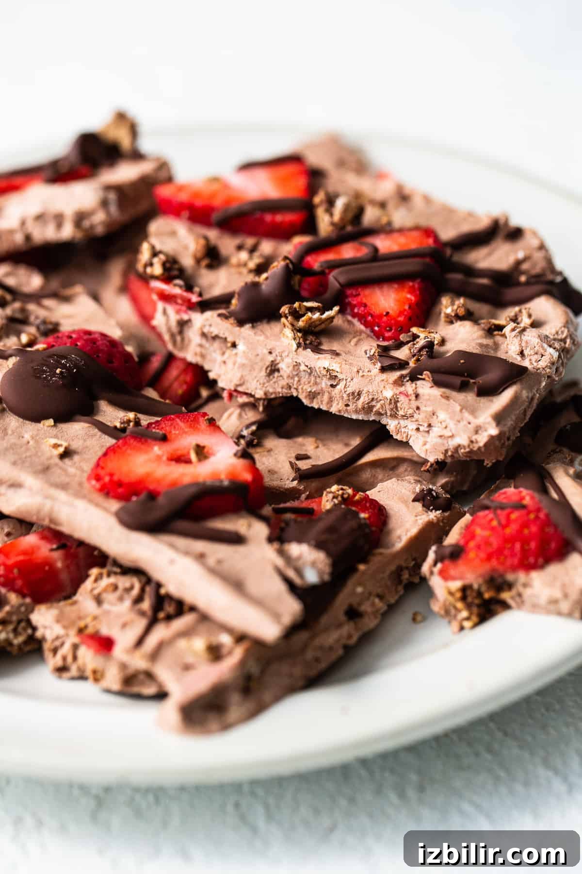 Serve Frozen Yogurt Bark Frozen yogurt bark on a plate.