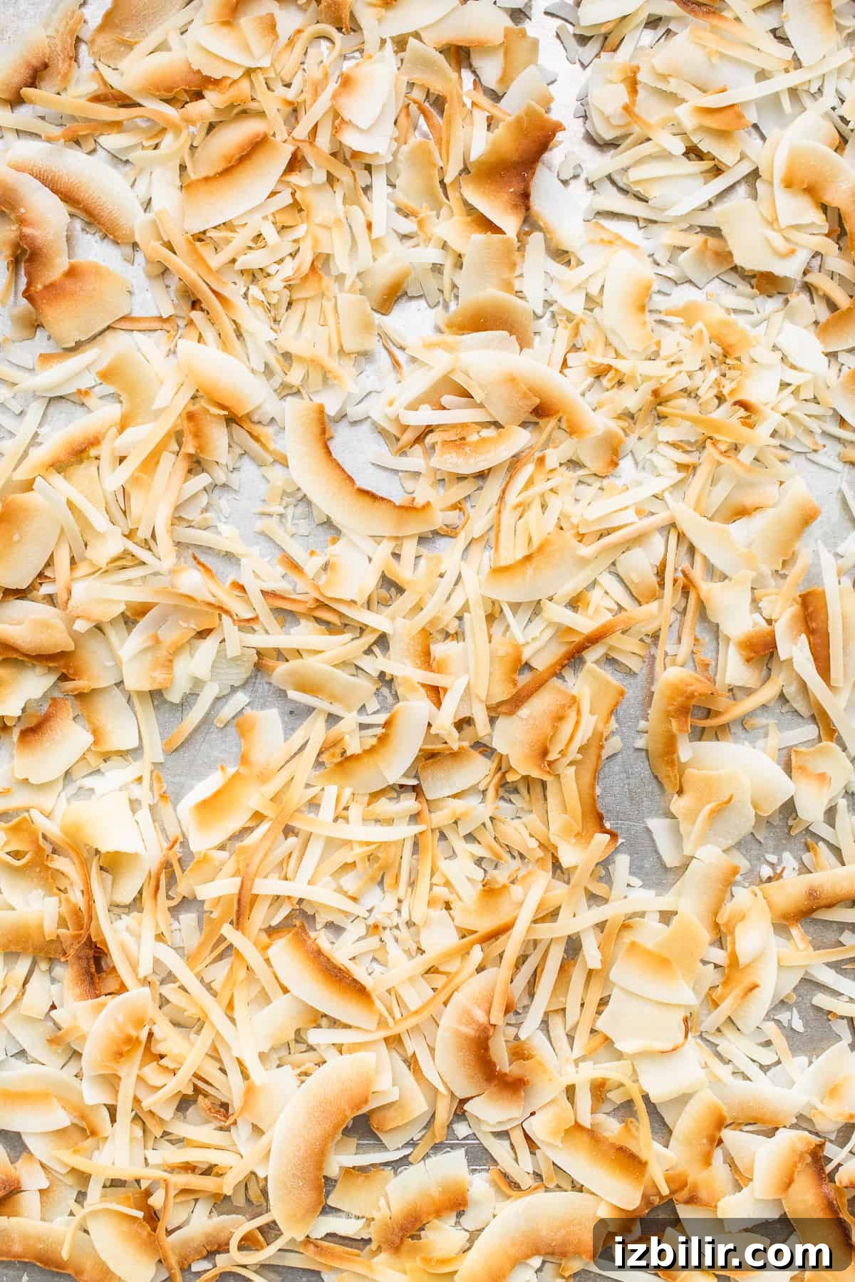 toasted coconut on sheet pan.