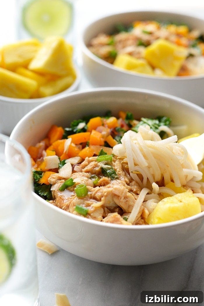 Hawaiian Chicken Noodle Bowls with Pineapple and Teriyaki 2 Hawaiian chicken noodle bowls with shredded chicken, vegetables, and rice noodles