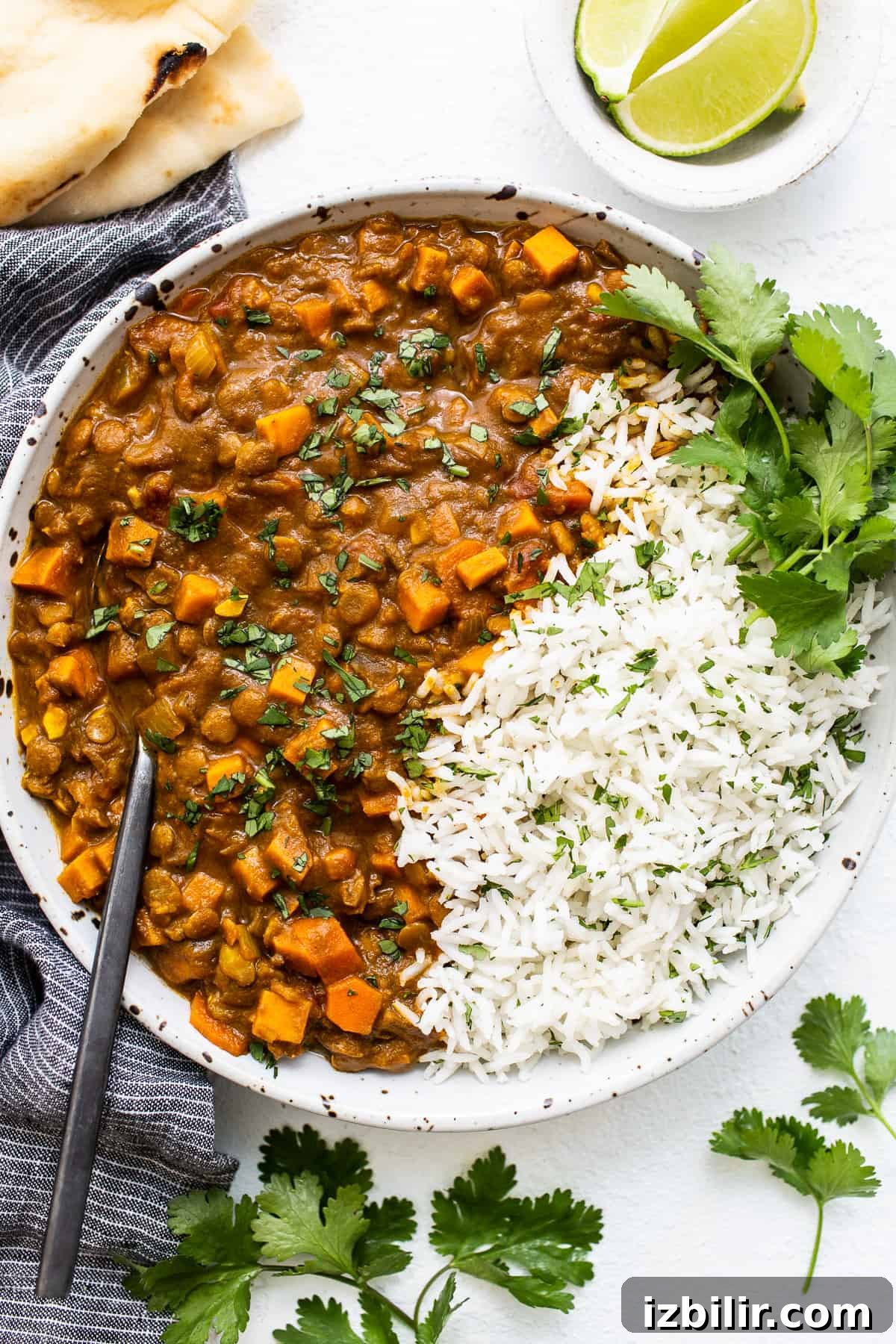 Vegetarian lentil curry in a bowl.