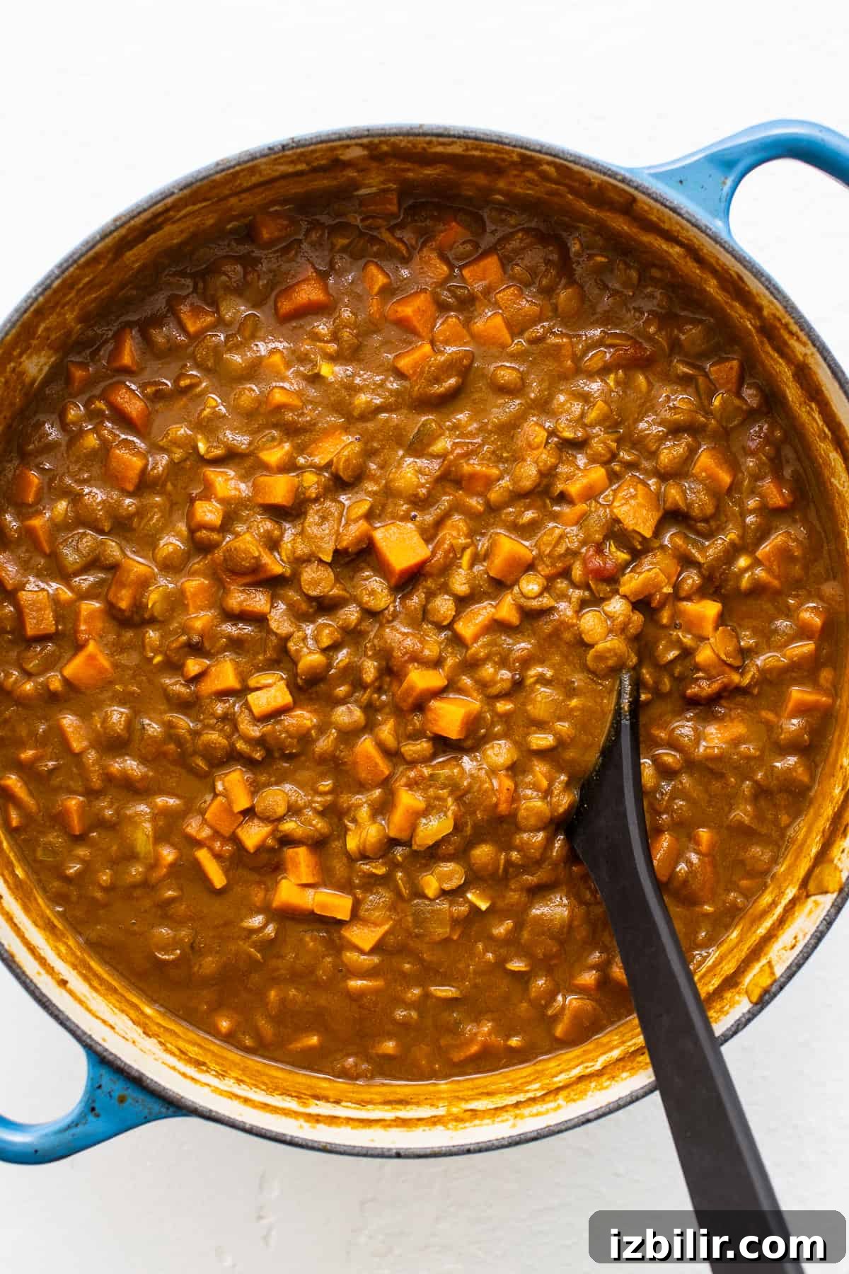 Vegetarian lentil curry in a dutch oven.