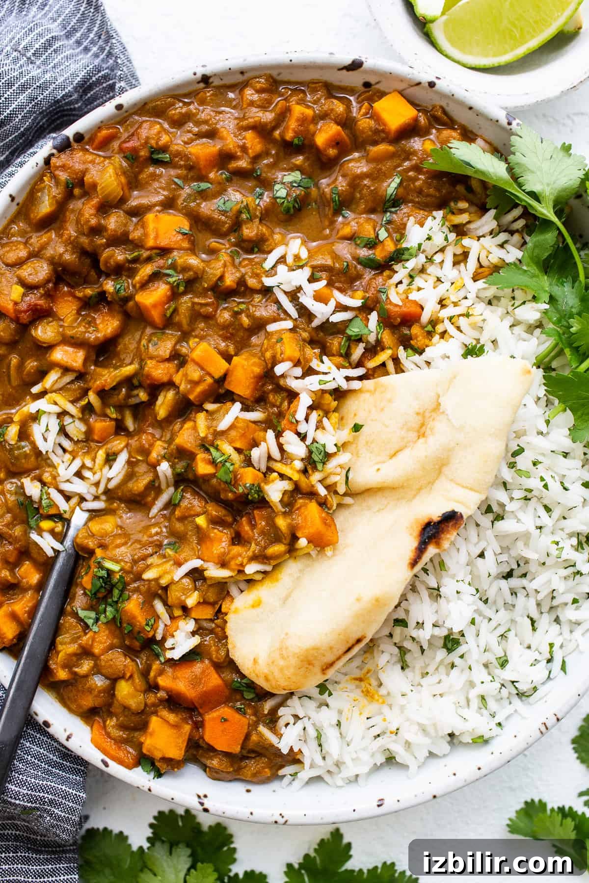 Vegetarian lentil curry in a bowl with a slice of naan.