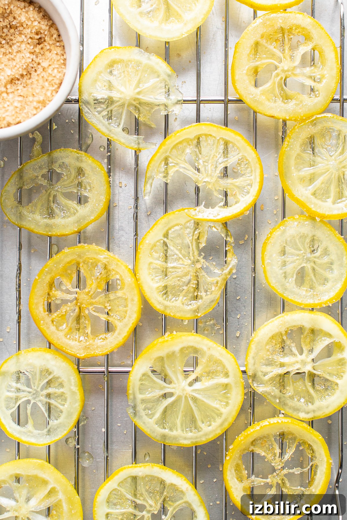 Candied lemon slices on a wire baking rack.