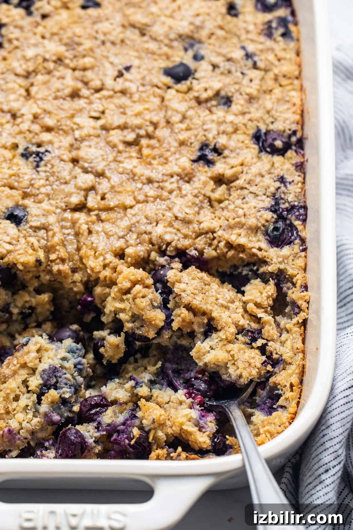 Blueberry muffin baked oatmeal in a casserole dish.